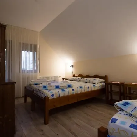 Guest house Pensiunea Restaurant Vandor