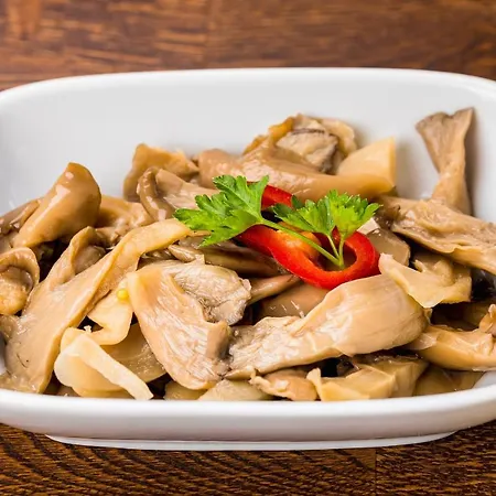 Pensiunea Restaurant Vandor 2* Cimpu Cetatii