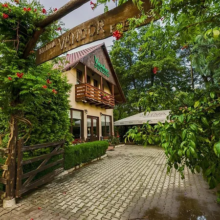 Guest house Pensiunea Restaurant Vandor Cimpu Cetatii